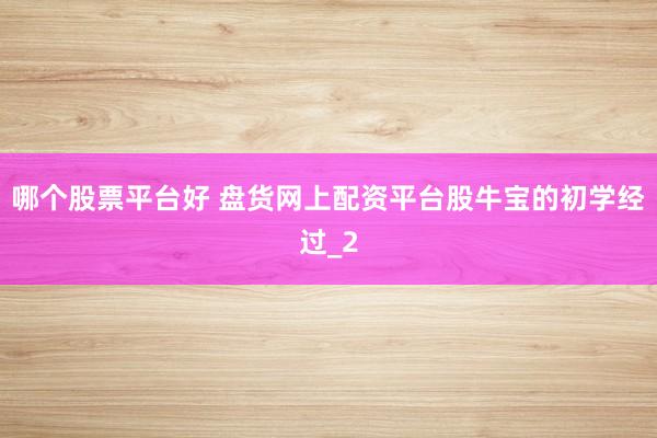 哪个股票平台好 盘货网上配资平台股牛宝的初学经过_2