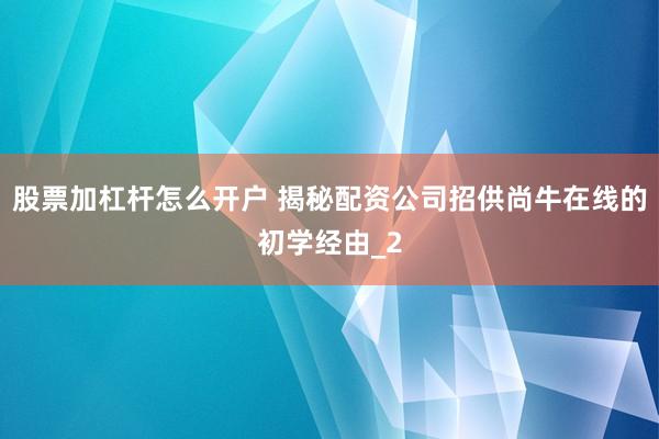 股票加杠杆怎么开户 揭秘配资公司招供尚牛在线的初学经由_2